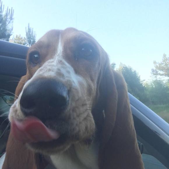 Meet your Posher, Naomi - Picture 1 of 1